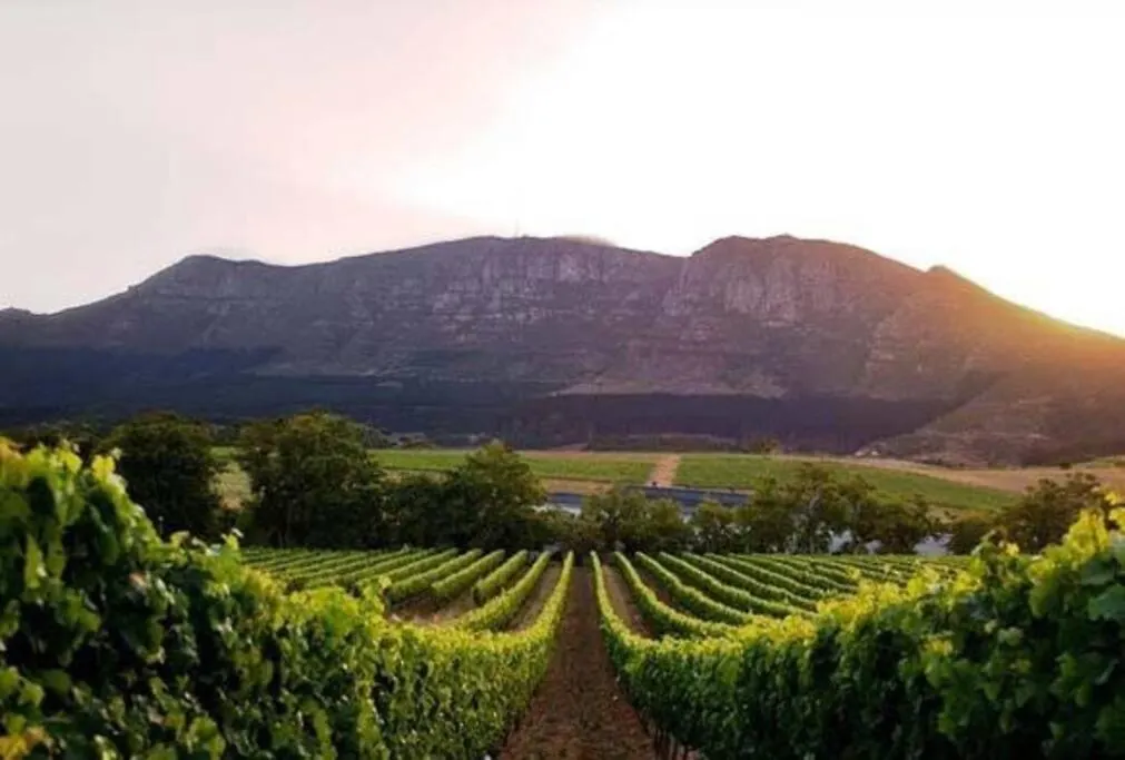 Appartamento Heart Of Constantia - Solar Powered Città del Capo 0*,